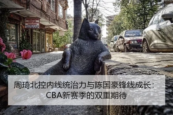 zhou-qi-bei-kong-nei-xian-tong-zhi-li-yu-chen-guo-hao-feng-xian-cheng-zhang-xin-sai-ji-de-shuang-chong-qi-dai-2-276.jpg