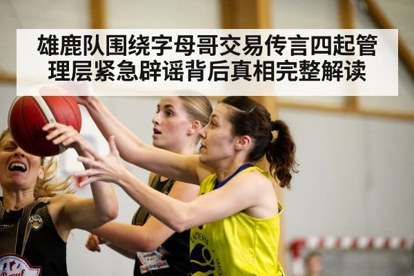 雄鹿队围绕字母哥交易传言四起管理层紧急辟谣背后真相完整解读